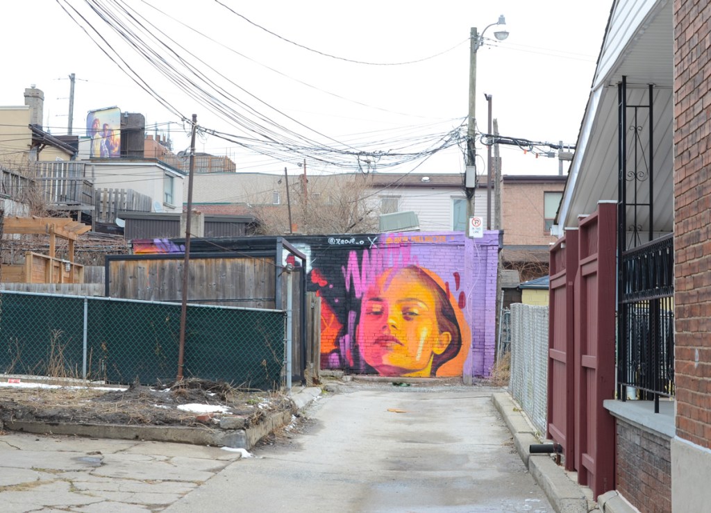 mural by Anya Mielniczek of a girls's head in pinks and oranges down a lane, rest of mural blocked by fence