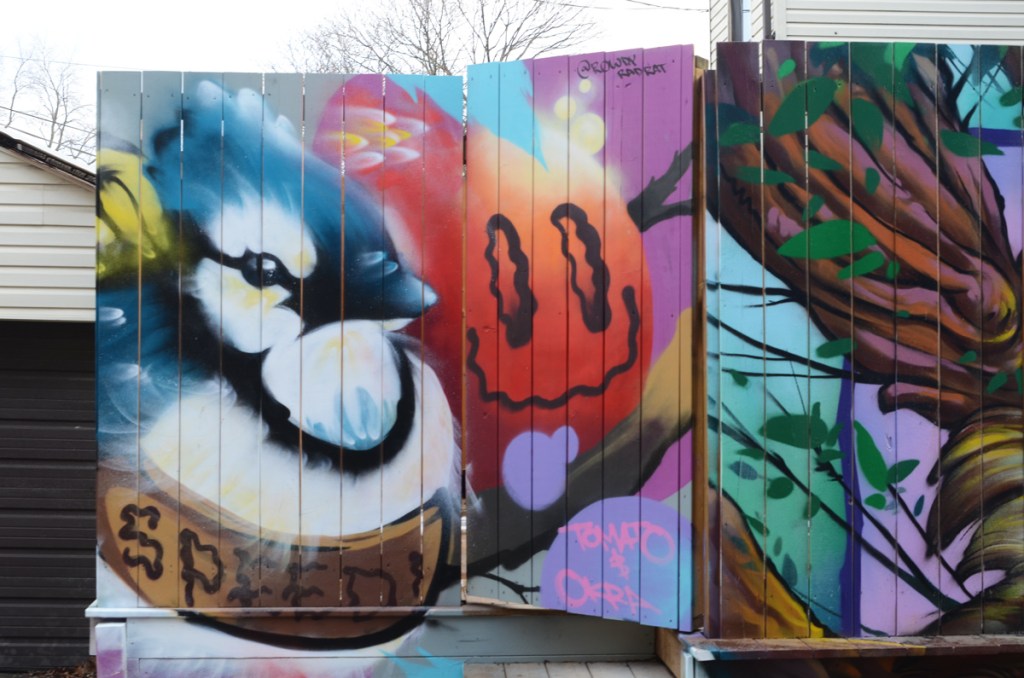 street art on a wood fence in a lane