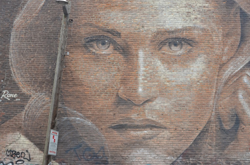 close up of a large mural by Rone of a woman's face in shades of brown, on a brick wall in Montreal, street art 