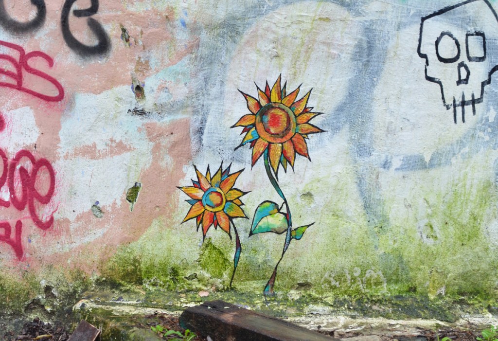 small painted multicoloured flowers on a wall