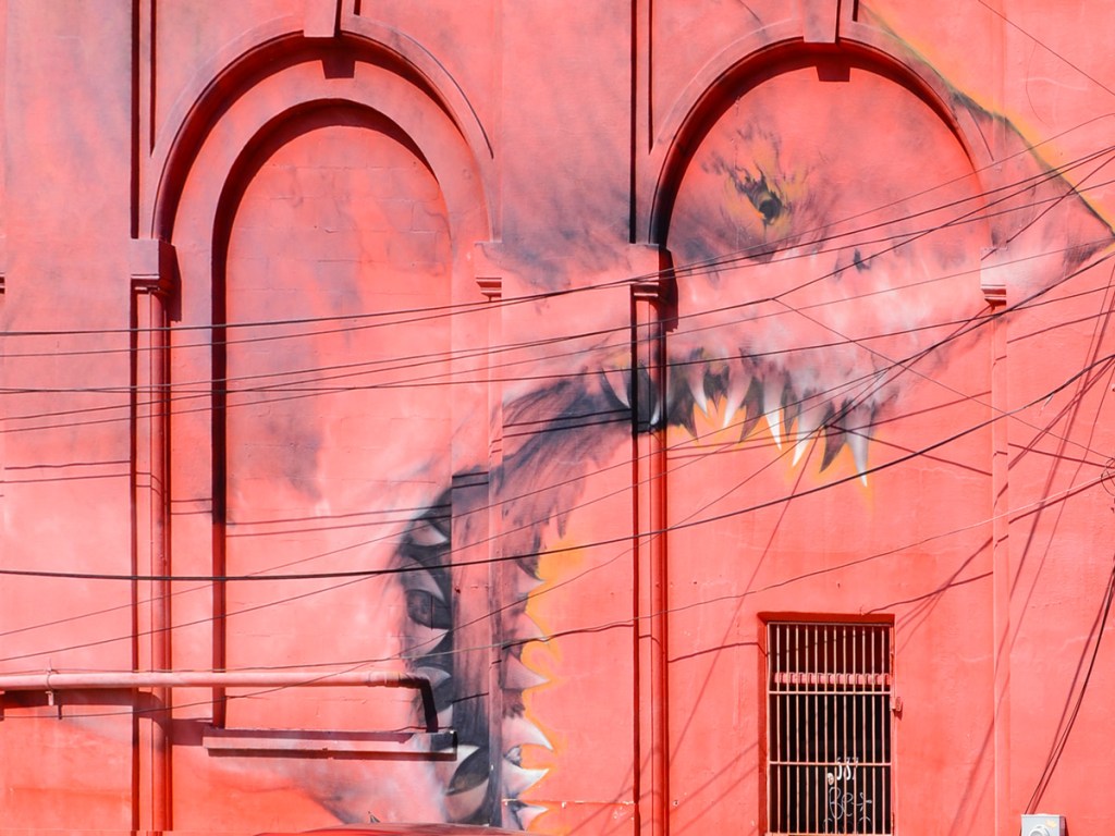 mural of a grey shark on an orange red wall