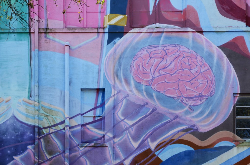 a pink brain inside a translucent jellyfish head, part of a mural