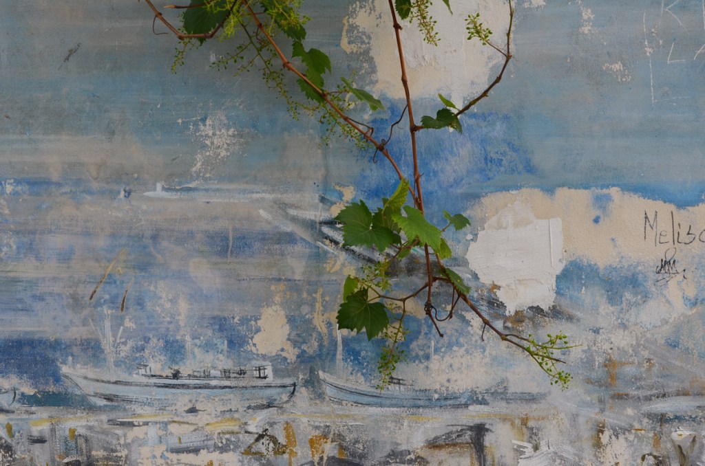 green vine grows in front of a blue painting, outside, of boats on the water, grape vines or ivy