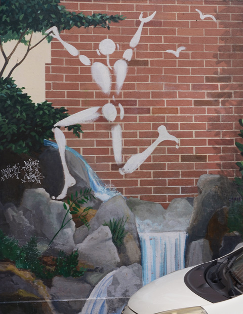 blog_white_man_birds