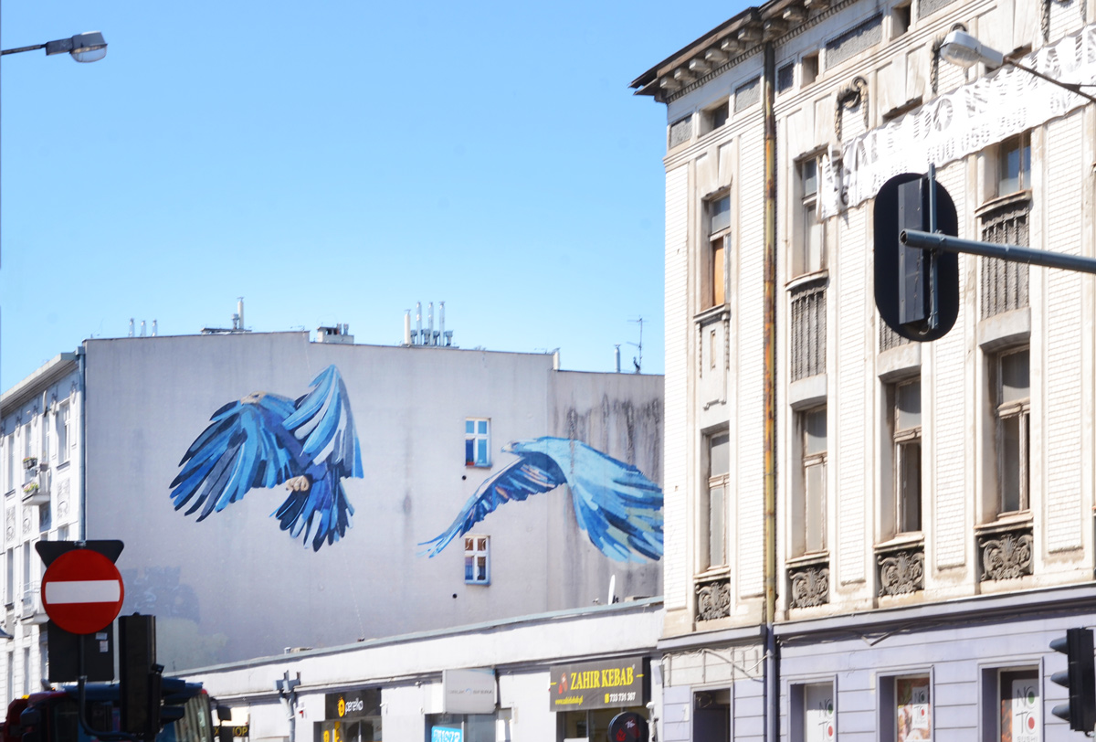 blog_flight_large_birds