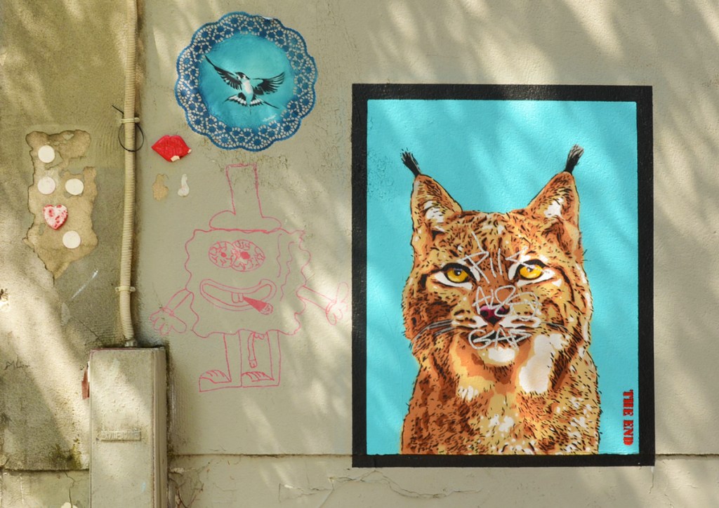 coloured stencil street art portrait of an animal, boreal lynx
