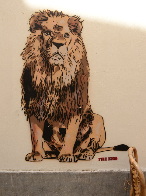 coloured stencil street art portrait of an animal, lion