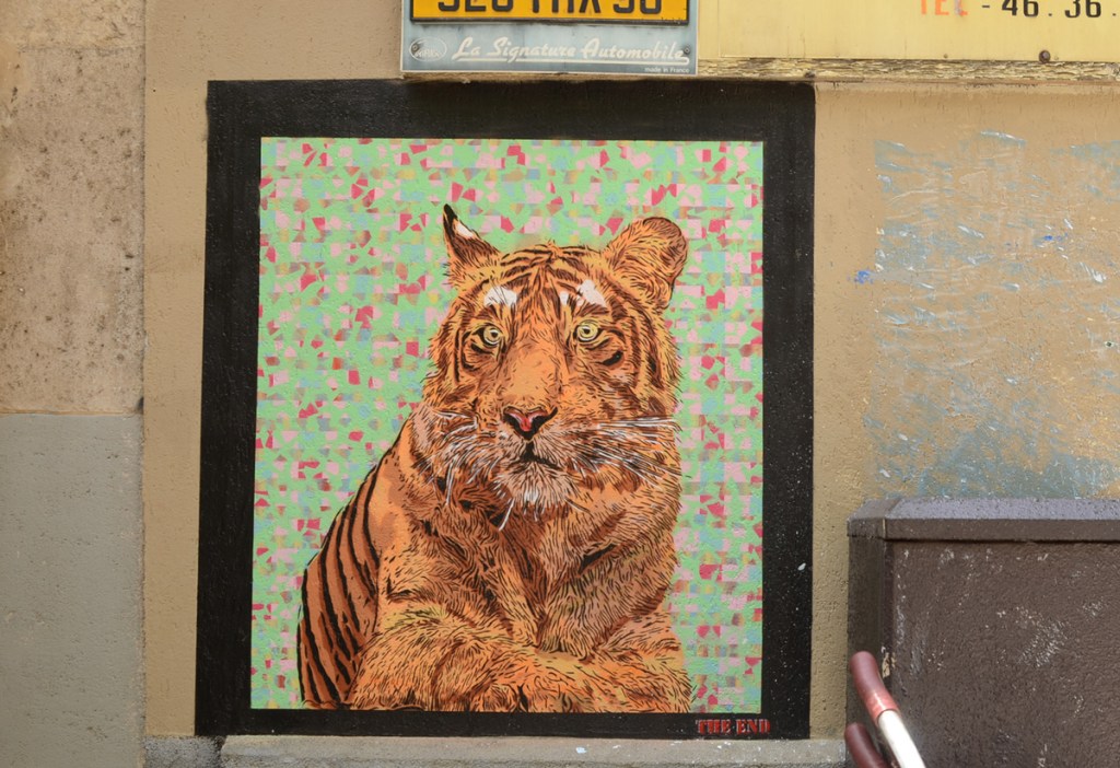 coloured stencil street art portrait of an animal, bengal tiger