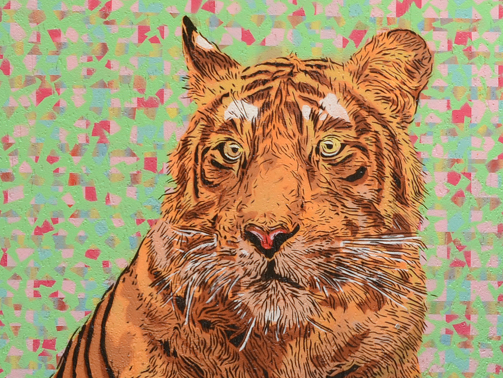 coloured stencil street art portrait of an animal, close up look at the tiger's face