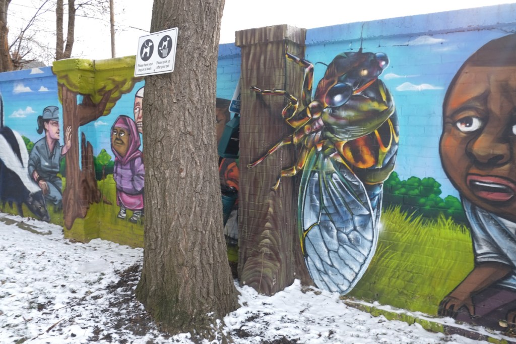 large bee in a mural, painted by Nick Sweetman