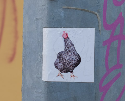 sticker on a pole, a black and white chicken