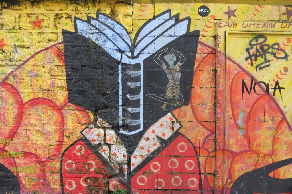 part of a street art painting of a person holding an open book in front of their face, the word dream written many times