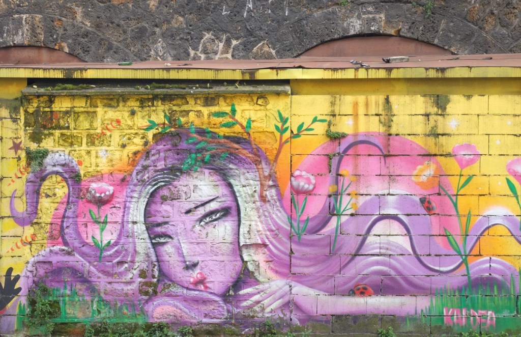 street art portrait of a woman with lavendar colour hair