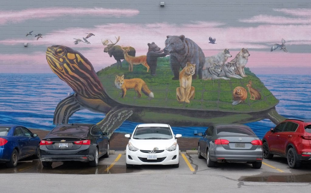 five cars parked in front of a large mural of a green shelled turtle walking beside a large body of water, many animals are on the turtle's back, fox, bear, deer, moose, wolf, bobcat, beaver, rabbit, many birds are flying around, 