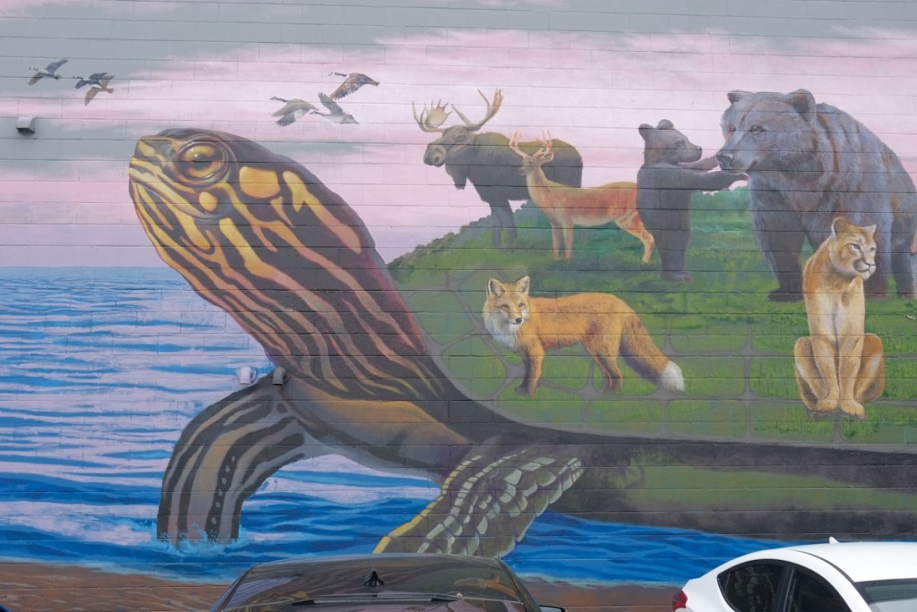 closer up view of the turtle's head and some of the animals, turtle's front feet are in the water