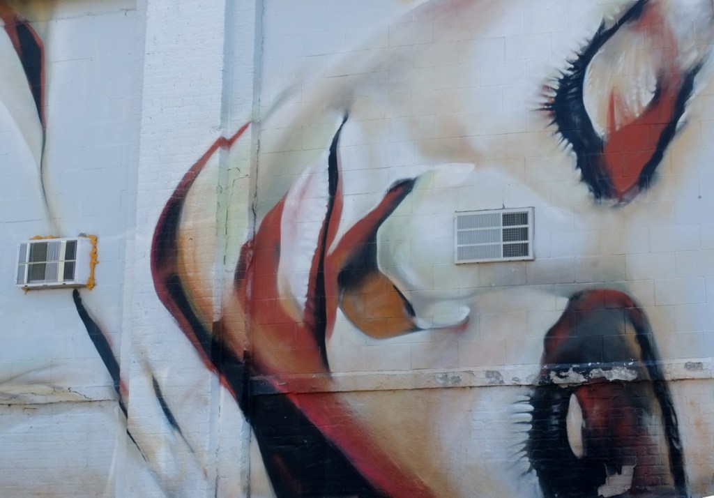 mural by Omen in Rochester, pale skinned woman lying on her side with her eyes closed, large