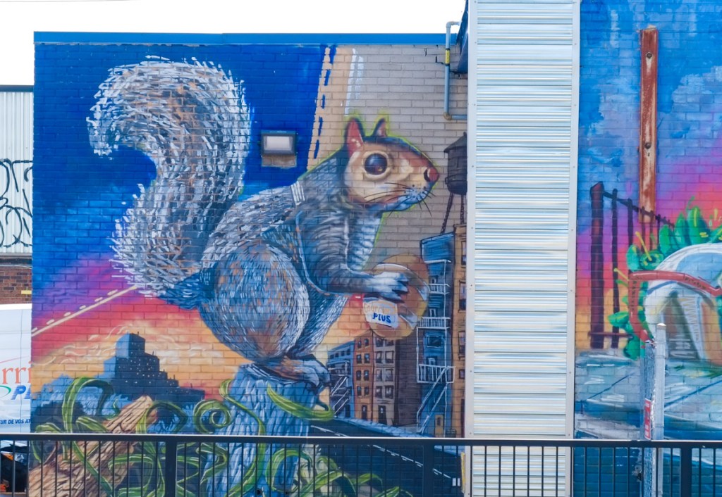 on rue Ontario, a painting of a squirrel with a bushy tail and holding a small package in his paws
