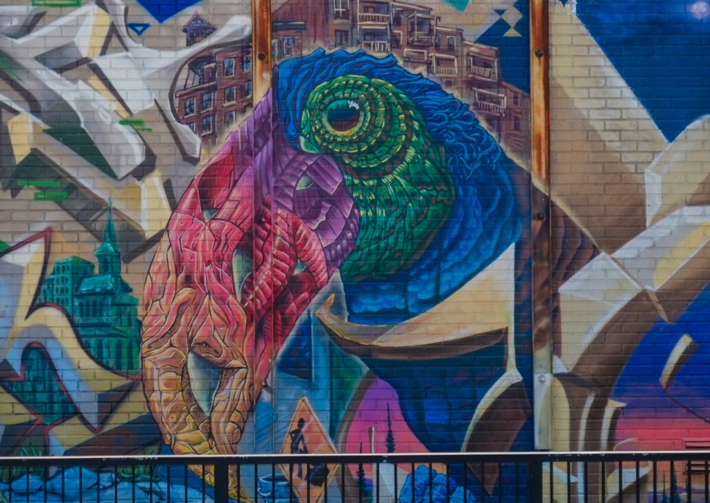 close up of the toucan in a mural with a rainbow coloured beak.