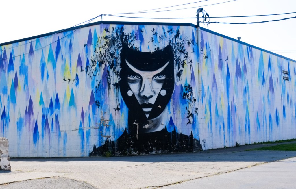 large mural on corner of building, face in black and white, coloured splotches on both sides of face in blue and faded red and green and yellow, by Vexta in Rochester