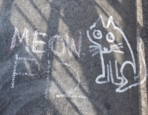 blog_cat_white_chalk