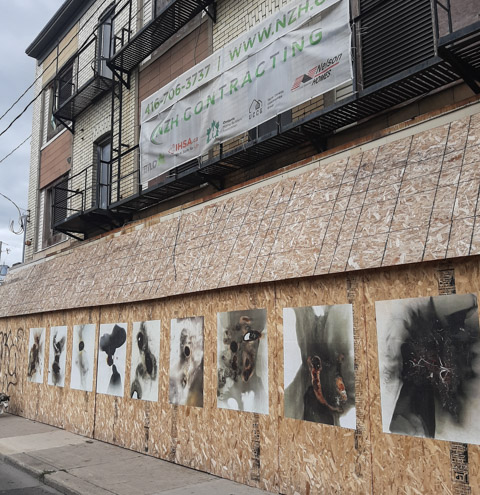 exterior of old abandoned Colonial building in hamilton, with wheat paste street art images on it
