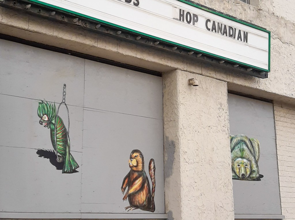 wheatpaste images of animals printed on paper, on exterior of grey abandoned building, a parrot, a beaver, and a bear