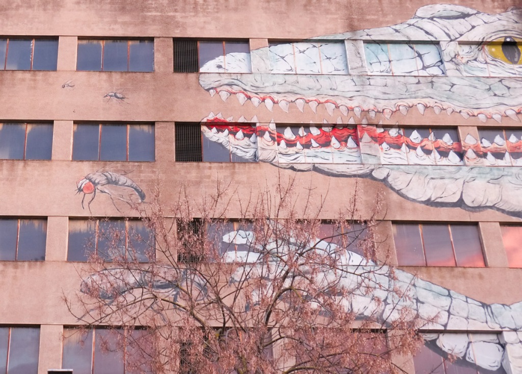 reaching for flying insects, mural of la cocollona, river monster or crocodile in Girona Spain