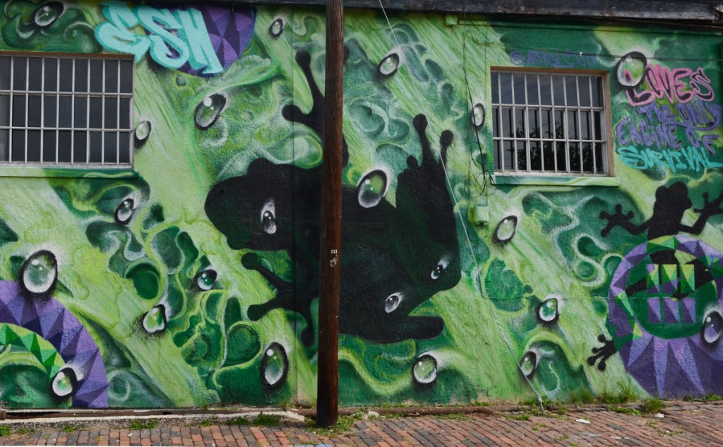 mural, green background with water drops, black silhouette of a frog and a gecko climbing the wall
