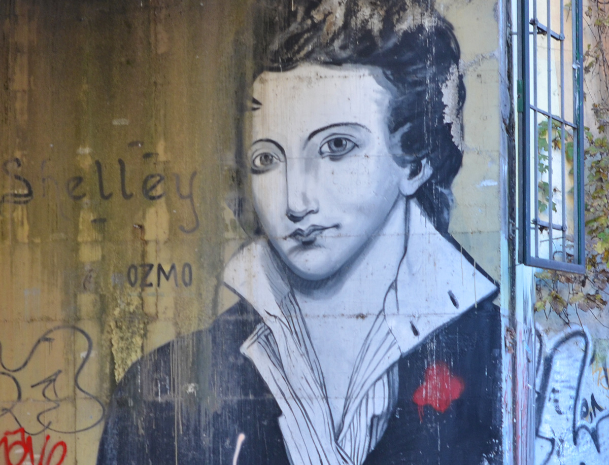 blog_shelley_by_ozmo