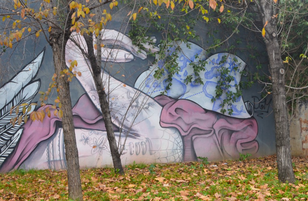 part of a Bue2530 mural in Florence, a woman's arm is bent in the shape of a swan neck as she sleeps on the ground 