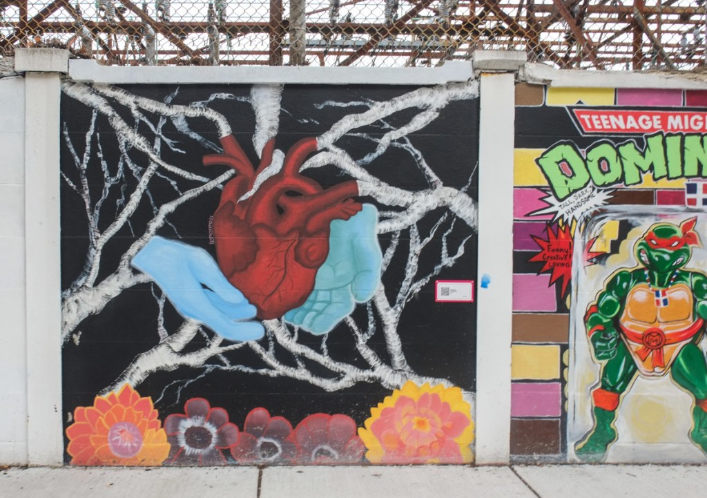 mural, mutant teenage ninja turtle, using dominican turtles instead