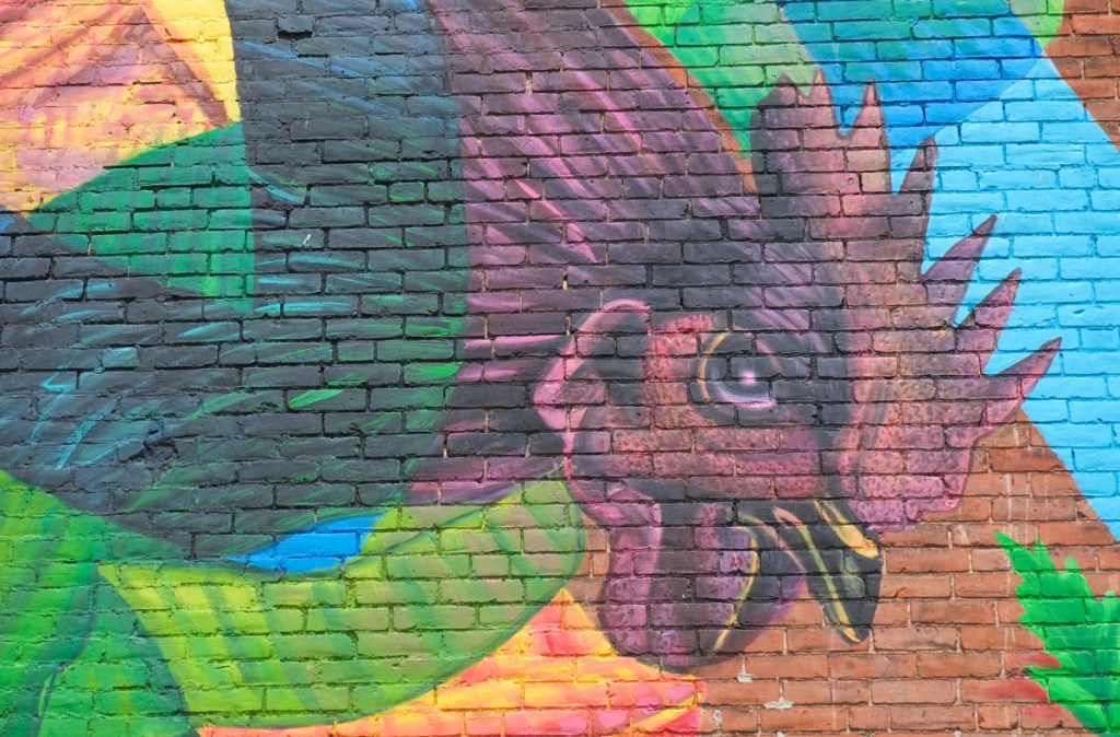 rooster, in a mural, mostly its head
