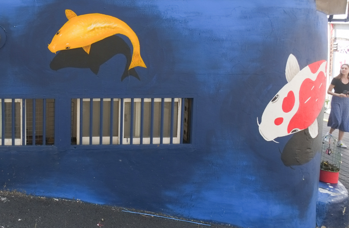 orange and white carp painted on blue wall 