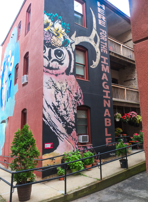 mural on the side of a three storey brick apartment building, in Salem Massachusetts, shaggy creature standing up, text that says here for the imaginable