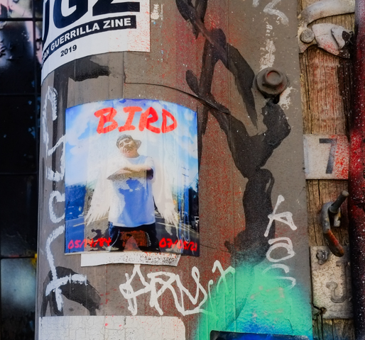 sticker on a pole, picture of a young man with word bird written in red, two dates, a tribute sticker by the looks of it