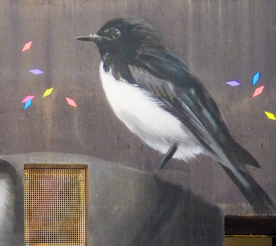 part of a mural by vexta and lis king, of a black and white bird, black back, black head, and white tummy, 