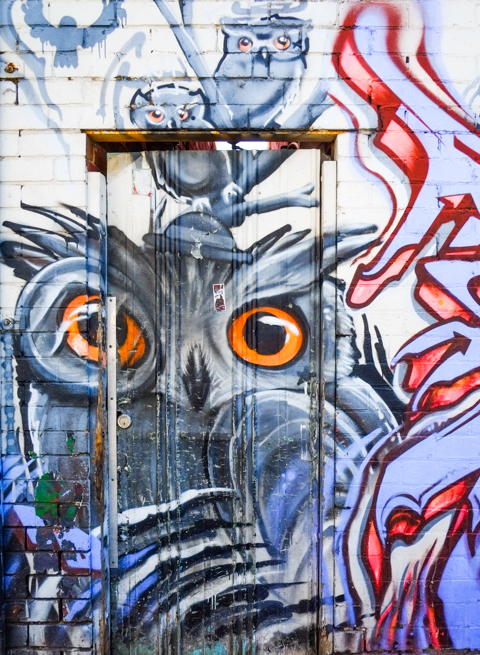 a door in the middle of a street art painting of owls including two small baby owls
