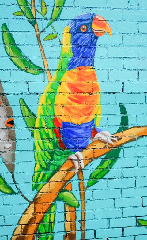 street art painting of a rainbow lorikeet bird, on a tree branch