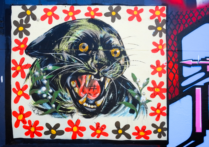 street art painting of a black panther with mouth open showing large white fangs