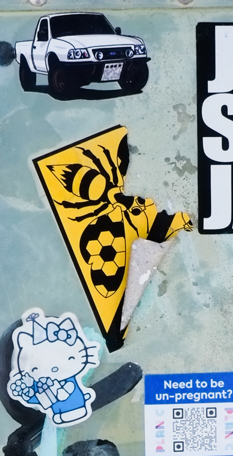 graffiti stickers, a pick up truck, little kitty