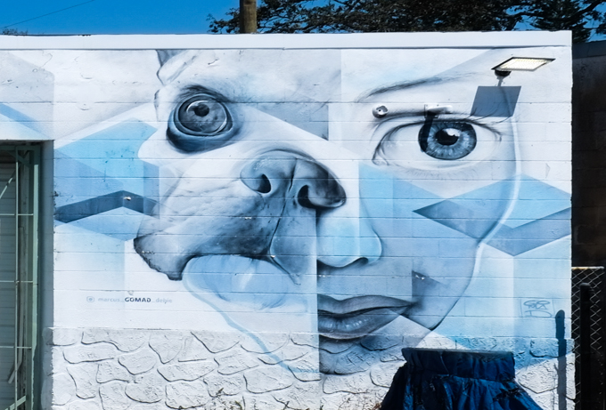 mural in shades of blue, a woman's face merges with that of a dog, two eyes, one human, and one canine, two noses, two mouths, 