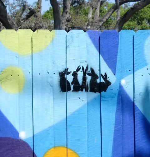 a little black stencil of 5 rabbits in different positions, on a fence already covered with blue street art 