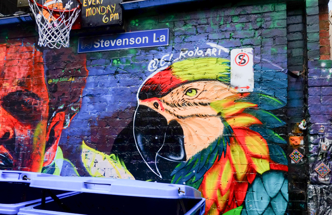 street art painting of a parrot