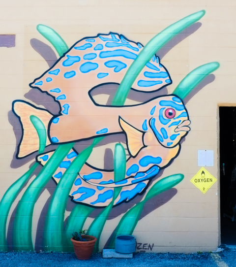 mural, exterior wall, a fish in the shape of the letter S swims through green long finger like seaweed