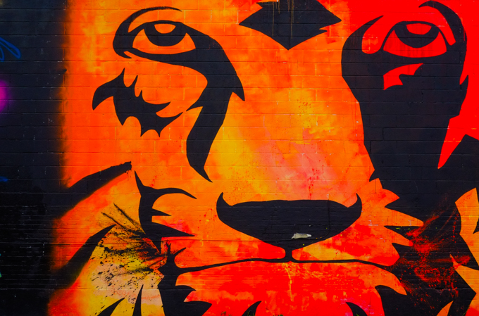 large orange and black lion face, in a mural by Jay Hawkins