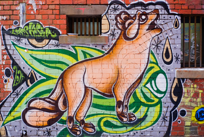 street art mural of a brown dog, side view, he seems to be barking