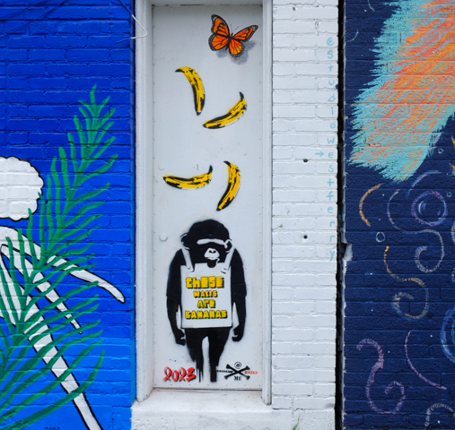 street art on a white door in an alley, stencil of a black chimp or chimpanzee wearing a sign that says these walls are bananas, also 4 bananas above his head
