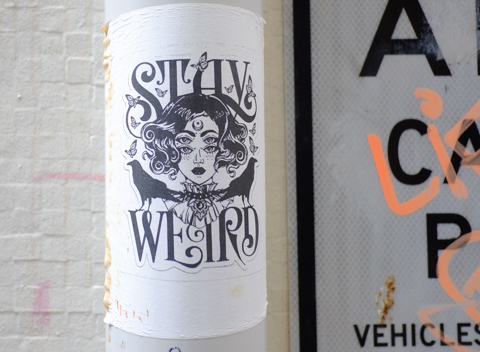 sticker on a pole, black on white, image of woman with four eyes, also two blackbirds, one on either side of her head, with text that says stay weird