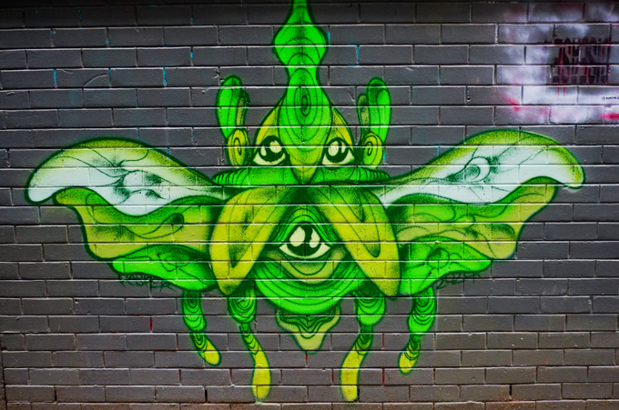 mural in a Melbourne alley, by Lukas Kasper, of a large green insect like creature with wings 