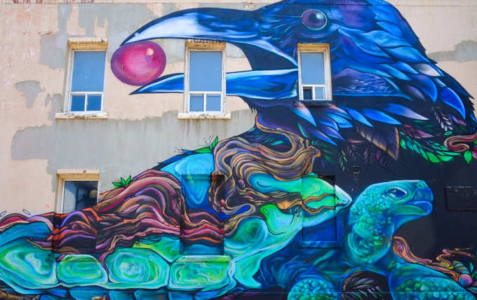mural of a raven with a red berry in its beak, also a turtle in the mural